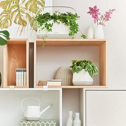 LECHUZA YULA Square Poly Resin Indoor Self-watering Planter