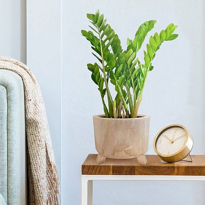 HORTICO GROWER Wooden House Planter with Legs, Indoor Plant Pot Stand with Waterproof Liner