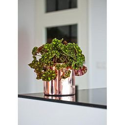 Fibrestone Platinum Puk Round Planter by Idealist Premium