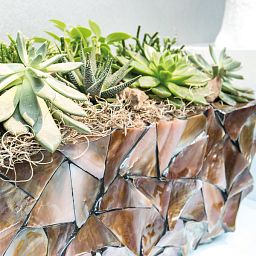 Shell Trough Polystone Indoor Planter