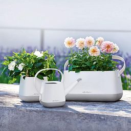 LECHUZA YULA Watering Can