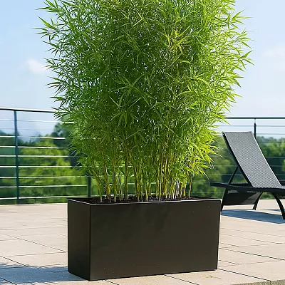 IDEALIST Lite Contemporary Light Concrete High Trough Planter