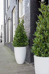 Fibrestone Ben Tall Planter by Idealist Premium