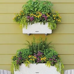 LECHUZA BALCONERA Cottage Trough Poly Resin Self-watering Planter
