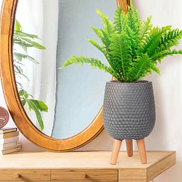 IDEALIST Lite Honeycomb Style Egg Planter on Legs, Round Pot Plant Stand Indoor