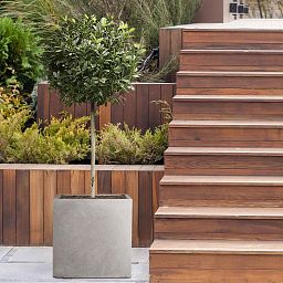 IDEALIST Lite Square Box Contemporary Light Concrete Planter