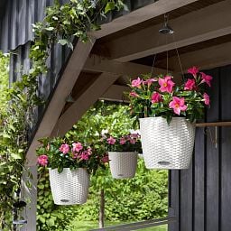 LECHUZA NIDO Cottage Round Poly Resin Outdoor Self-watering Planter