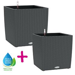 LECHUZA CUBE Cottage Square Poly Resin Self-watering Planter Set