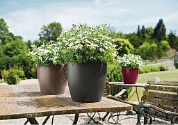 LECHUZA CLASSICO Color Round Poly Resin Self-watering Planter Set