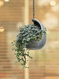 Gradient Hanging Cocoon Matt Grey D20 H24 cm Planter