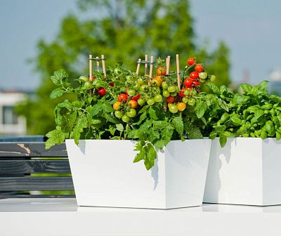 WINDOW BOX Fiberstone Planter by Idealist Premium Balcony BEAU Glossy