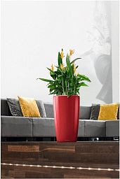 LECHUZA Rondo Round Tall Poly Resin Self-watering Planter