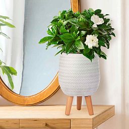 IDEALIST Lite Plaited Style Egg Planter on Legs, Round Pot Plant Stand Indoor