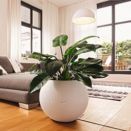 LECHUZA PURO Color Round Poly Resin Self-watering Planter