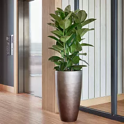 Gradient Partner Round Tall Matt Indoor Planter