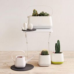 LECHUZA YULA Square Poly Resin Indoor Self-watering Planter
