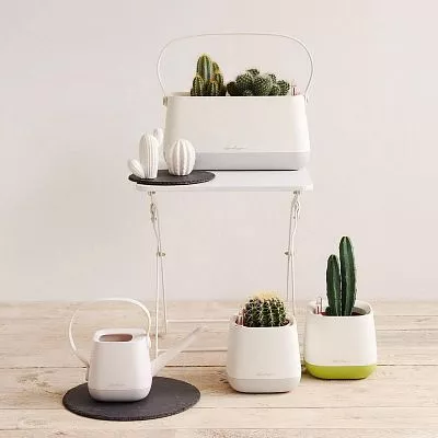 LECHUZA YULA Square Poly Resin Indoor Self-watering Planter