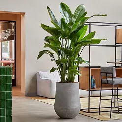 Polystone Planter | Tapered Indoor and Outdoor Plant Pot 