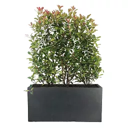 IDEALIST Lite Contemporary Light Concrete Trough Planter