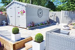 Photogenic Boxwood Buxus standard - MONO BALL, Box standard (Buxus sempervirens)