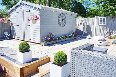 Photogenic Boxwood Buxus standard - MONO BALL, Box standard (Buxus sempervirens)