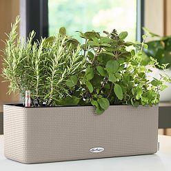 LECHUZA CUBE Color Triple Trough Poly Resin Self-watering Planter