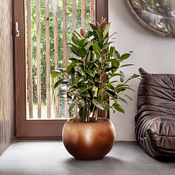 Metallic Couple Round Indoor Planter