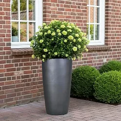 Ceramic Round Tall Matte Planter Pot In/Out