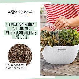 LECHUZA CUBETO COLOR Round Stone Look Poly Resin Self-watering Planter
