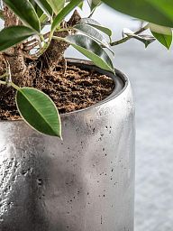 Opus Raw Polystone Tall Planter + Liner | Round Indoor Plant Pot