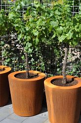 Cado Round Corten Steel Outdoor Planter