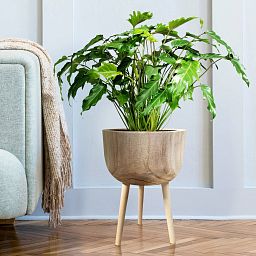 HORTICO GAIA Wooden House Planter with Legs, Tall Indoor Plant Pot Stand with Waterproof Liner