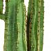Cactus with Brown Pot YF Artificial Flower Plant