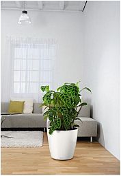LECHUZA CLASSICO Color Round Poly Resin Self-watering Planter Set