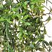 Feather Fern Trail Flame Retardant Artificial Branch Plant