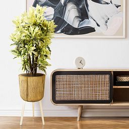 HORTICO RIBBED Wooden House Planter with Legs, Tall Indoor Plant Pot Stand with Waterproof Liner