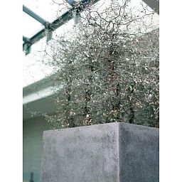 POLYSTONE STYLE Planting Column Tall Polystone Planter