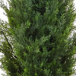 Topiary Cedar Mini Pine UV-resistant Artificial Tree Plant