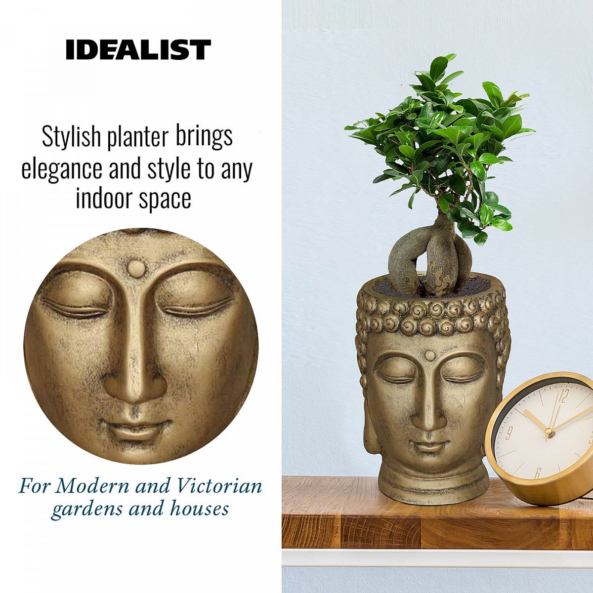 Buddha Oval Face Plant Pot Indoor by Idealist Lite