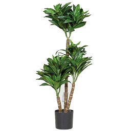 DRACAENA FRAGRANS Artificial Tree Plant
