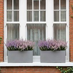 IDEALIST Lite Contemporary Light Concrete Trough Planter