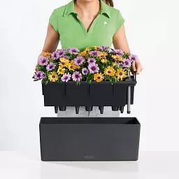 LECHUZA BALCONERA Color Trough Poly Resin Self-watering Planter