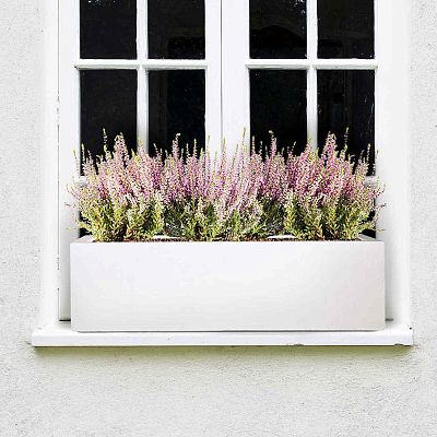 IDEALIST Lite Window Box Light Concrete Planter