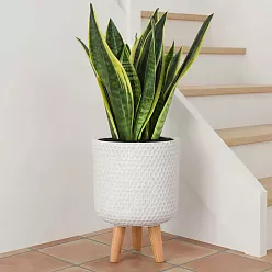 IDEALIST Lite Honeycomb Style Cylinder Planter on Legs, Round Pot Plant Stand Indoor