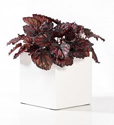 Fibrestone Matt Fleur Square Planter by Idealist Premium Fibrestone Matt Fleur Square Planter by Idealist Premium