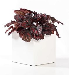 Fibrestone Matt Fleur Square Planter by Idealist Premium