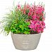 IDEALIST Lite Textured Concrete Effect Oval Face Outdoor Plant Pot with Lips