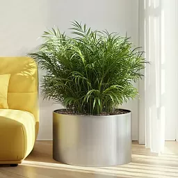 Superline Standard on Ring Round Indoor Planter