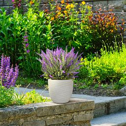 IDEALIST Lite Wave Style Outdoor Egg Planter