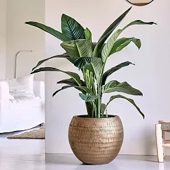 Opus Polystone Globe Planter + Liner | Hammered Finish Indoor Plant Pot